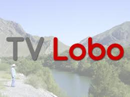 TV Lobo